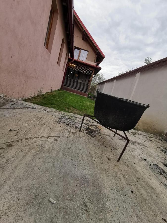 Vila De Vacanta Curtea de Argeş Esterno foto