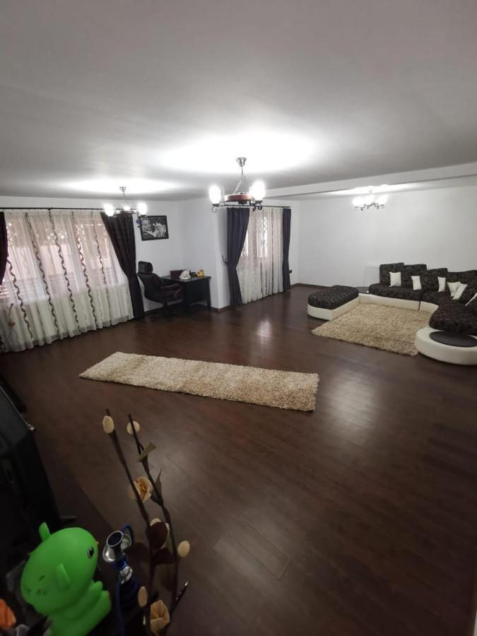 Vila De Vacanta Curtea de Argeş Esterno foto